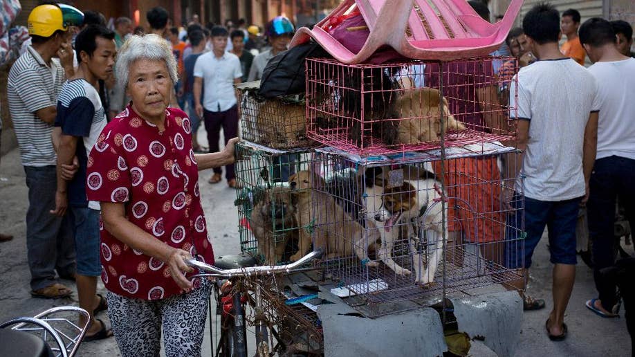 China City Holds Dog-meat Eating Festival Despite Protests | Fox News