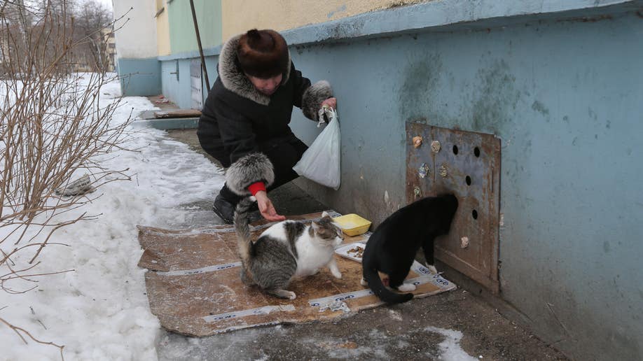 f6eefb46-Belarus Walling Up Cats