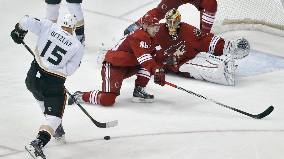 Ducks Coyotes Hockey