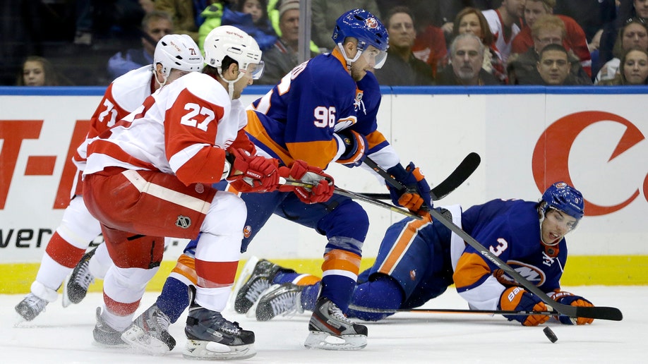 91c8b53a-Red Wings Islanders Hockey