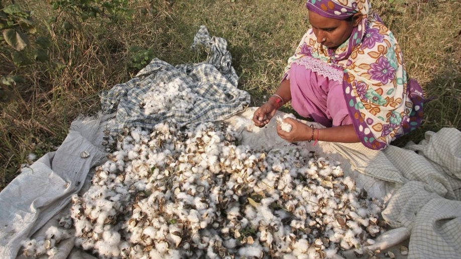 10468041-INDIA-PESTICIDES