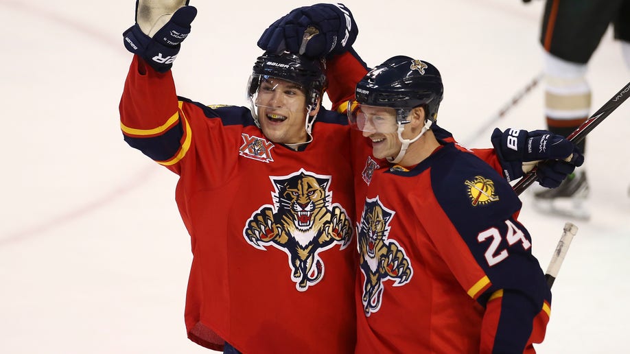 Ducks Panthers Hockey