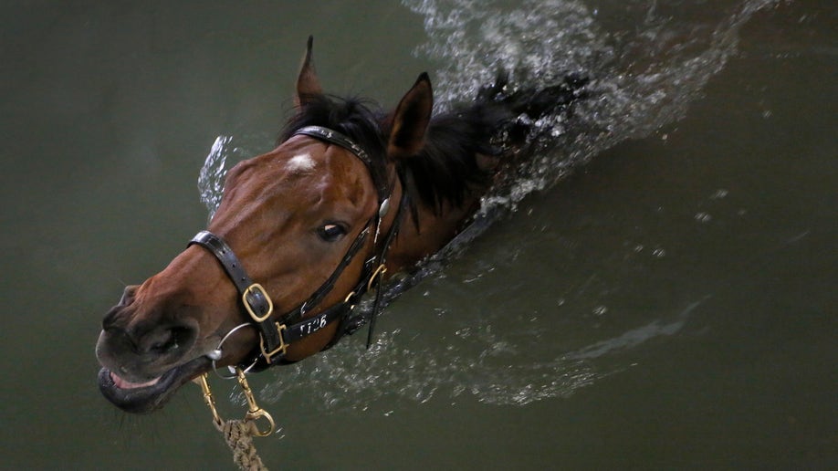 Hong Kong Year of the Horse