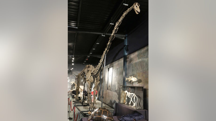 91c220df-Britain Dinosaur Auction