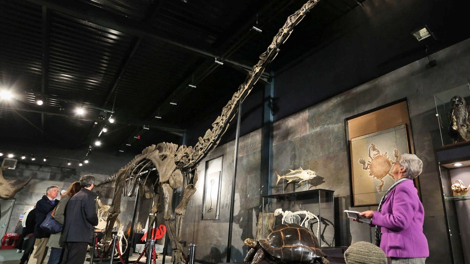 Britain Dinosaur Auction