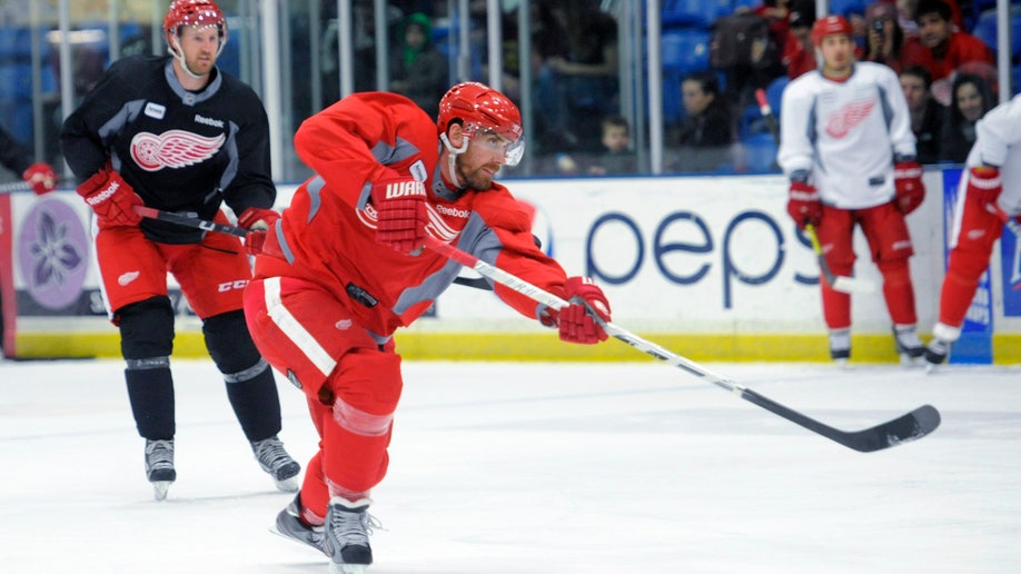 Henrik Zetterberg: Red Wings captain grinds through trying season - Sports Illustrated