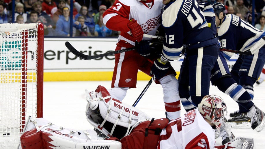 18433a4e-Red Wings Blue Jackets Hockey