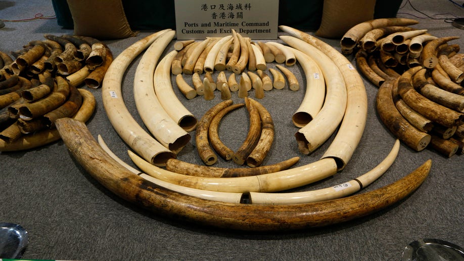 Hong Kong Ivory Cache