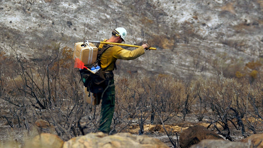 f35d9474-California Wildfire