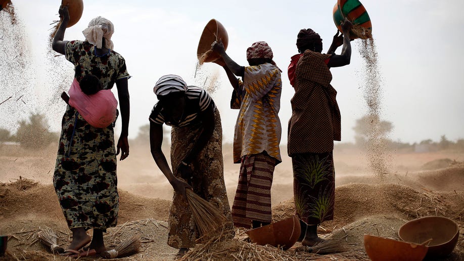 0994414a-Mali Fighting