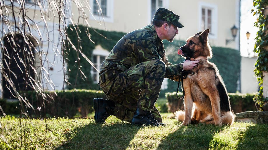 f147d736-Czech Afghanistan Army Dog Award