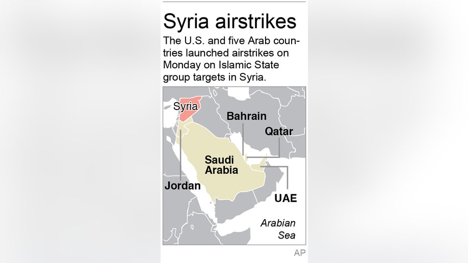 ee3dcf63-SYRIA AIRSTRIKES