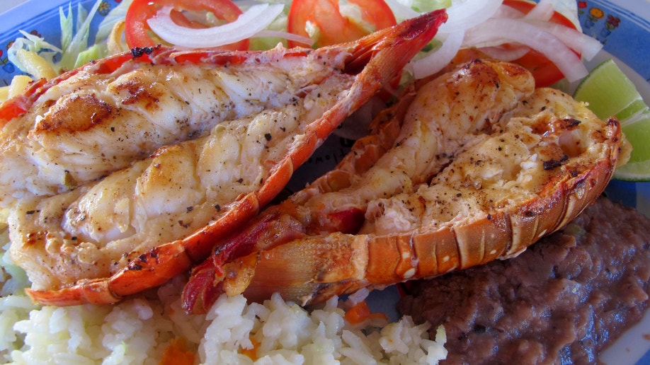 436b8cdd-Travel-Trip-Mexico-Isla Mujeres