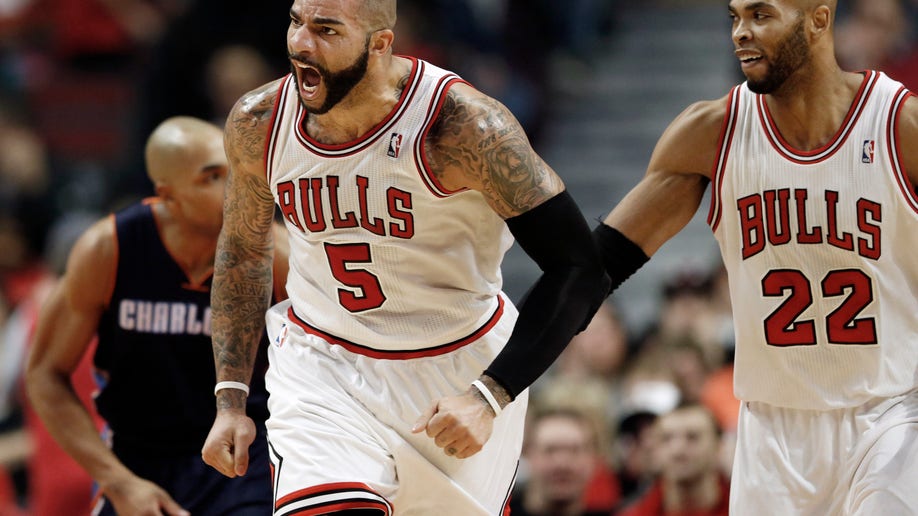 Bobcats Bulls Basketball