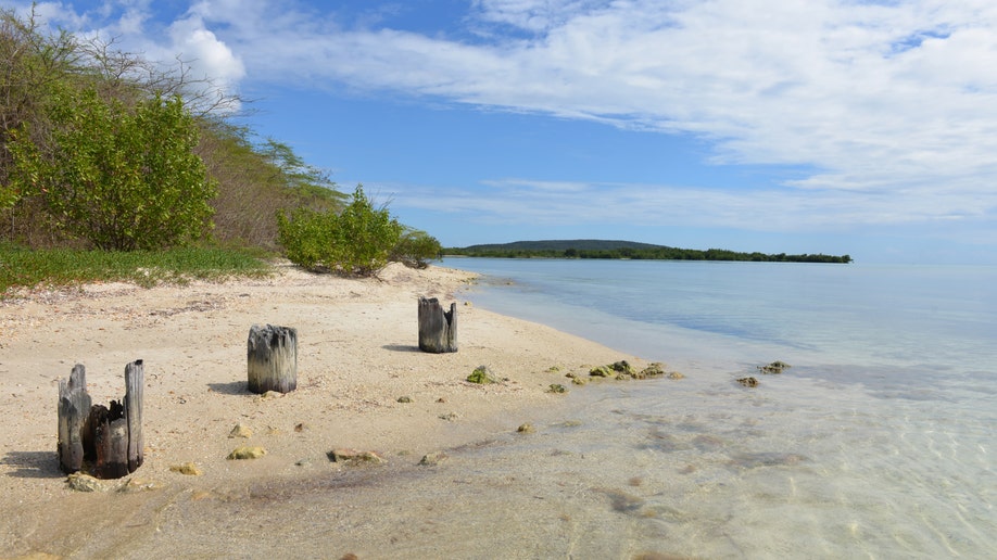 Jamaica Port Dreams