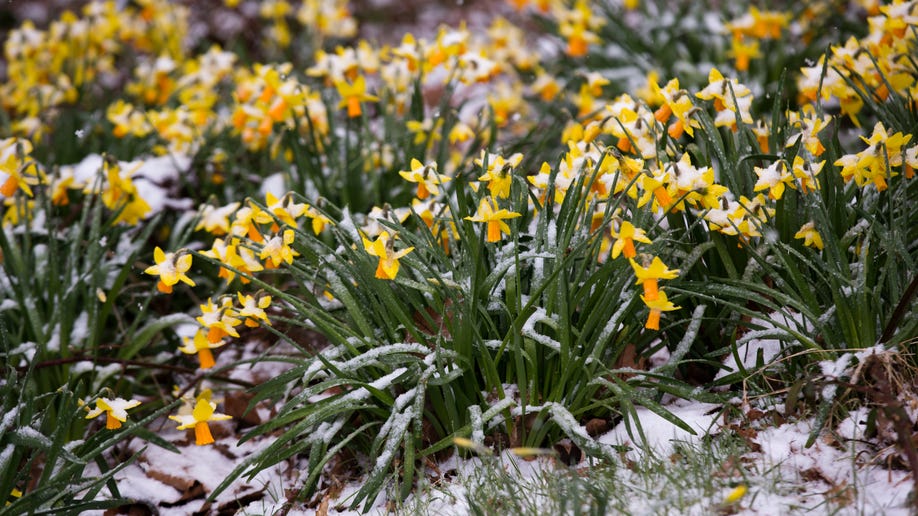 825b59f5-Britain Weather