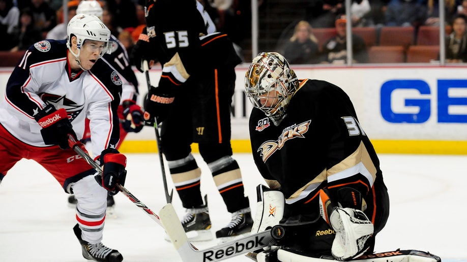 Blue Jackets Ducks Hockey