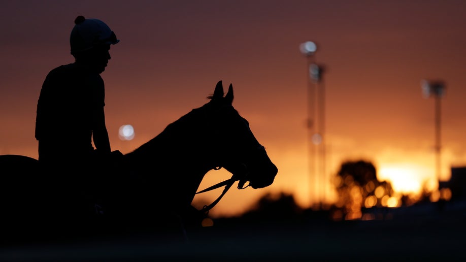 APTOPIX Kentucky Derby Horse Racing