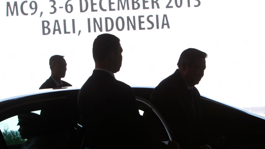 9b6c9e33-Indonesia WTO