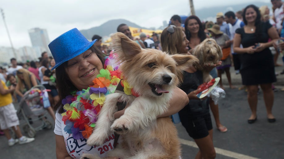 63bd3746-Brazil Carnival Dogs