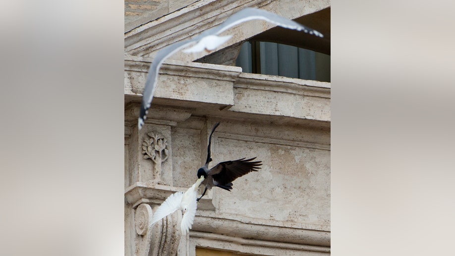 Vatican Pope's  Doves Attacked