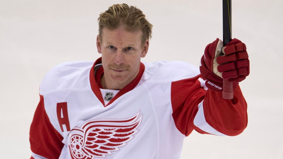 Red Wings Senators Hockey