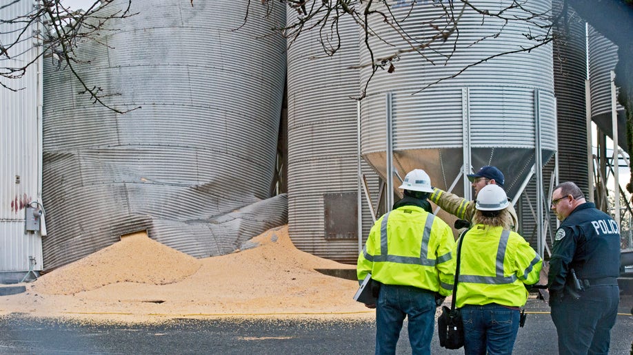 0901fd64-Silo Collapse