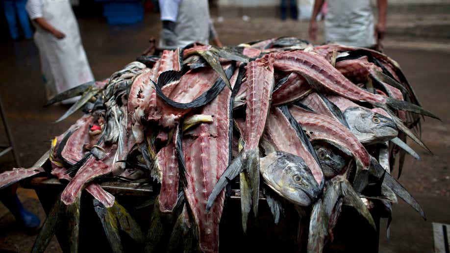 15bcd062-Peru Overfishing