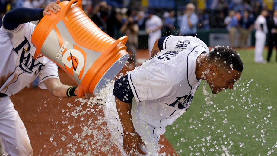 APTOPIX Marlins Rays Baseball