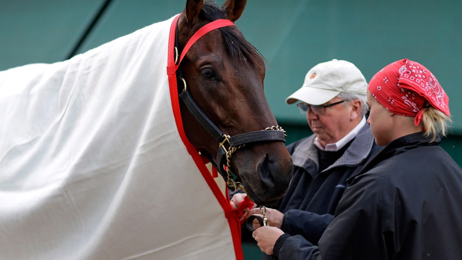 b5cd4193-Preakness Horse Racing