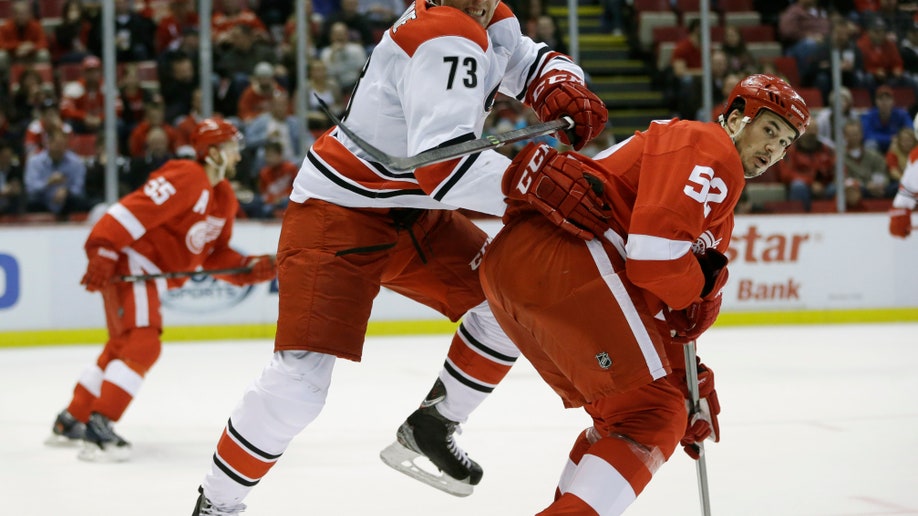Hurricanes Red Wings Hockey