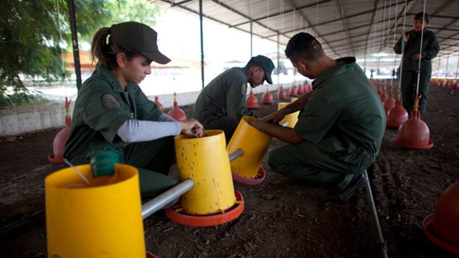 73cdae75-Venezuela Military