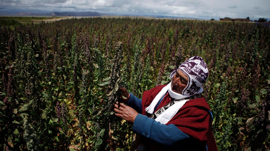 ede663bf-Bolivia Quinoa