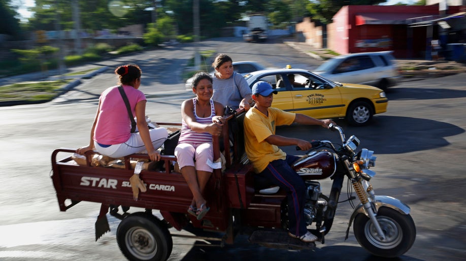 c85e296c-Paraguay Cart Horses