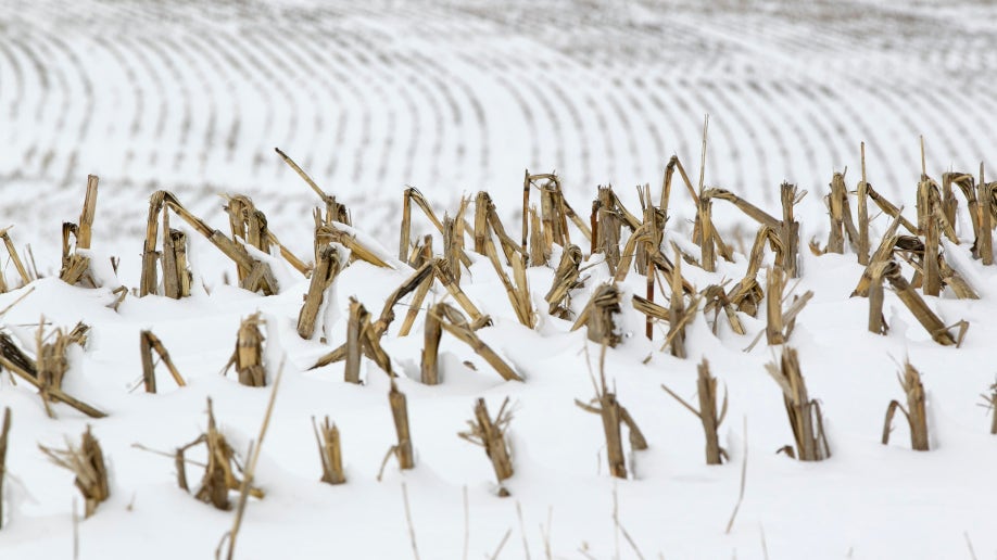 Drought Not Enough Snow