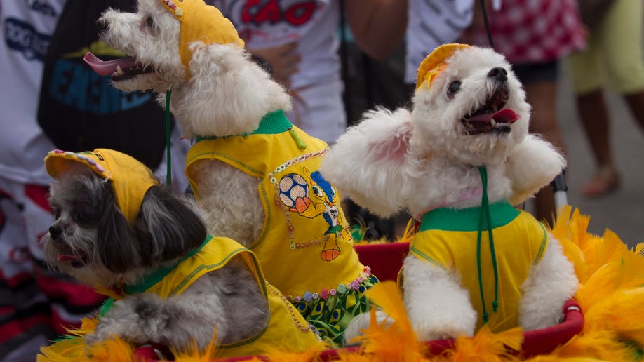 a96efc1c-Brazil Carnival