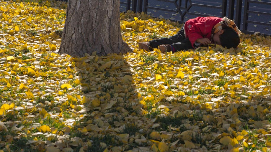 a0c33186-China One Child