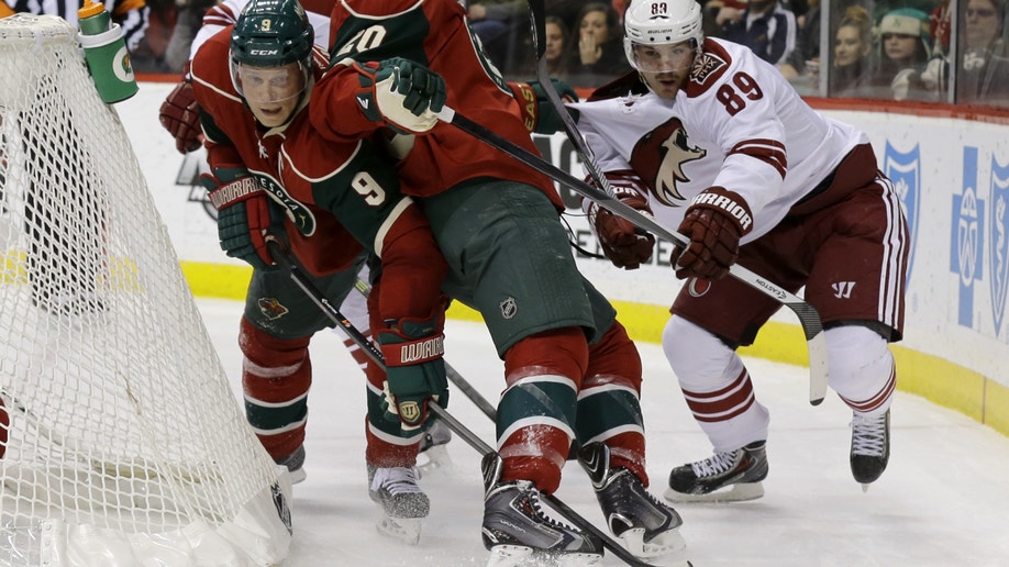 Coyotes Wild Hockey