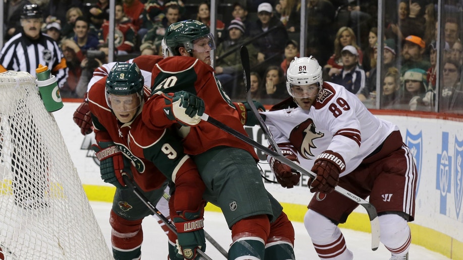 Coyotes Wild Hockey