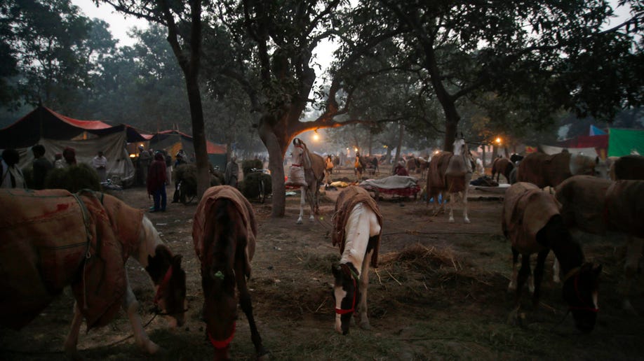 c4781e4f-India Elephant Festival