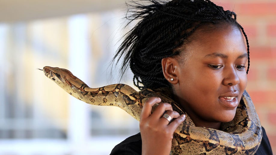 South Africa Soweto Snake Show