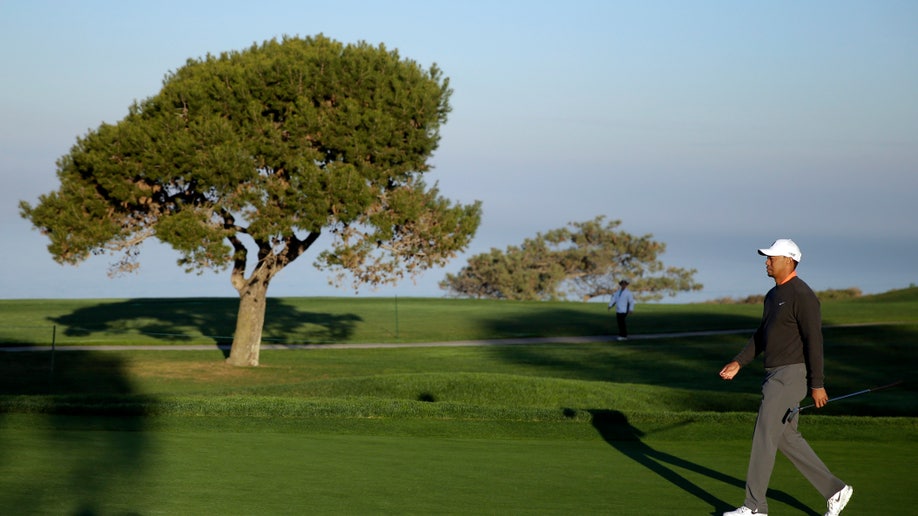 4e5c1c0f-Torrey Pines Golf