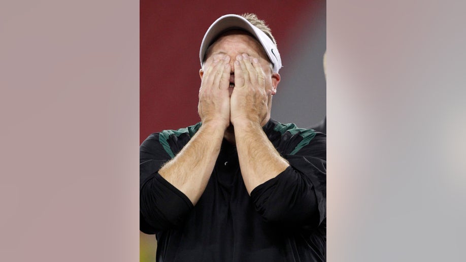 44396886-Fiesta Bowl Football