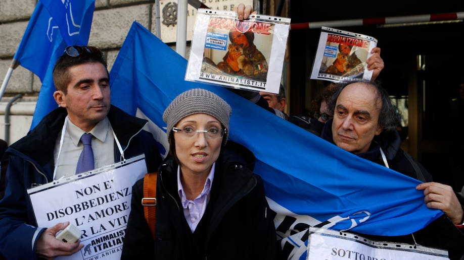 498ea524-Italy Cat Court Martial