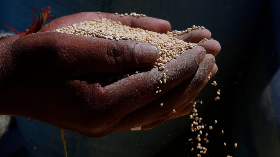 APTOPIX Bolivia Quinoa War