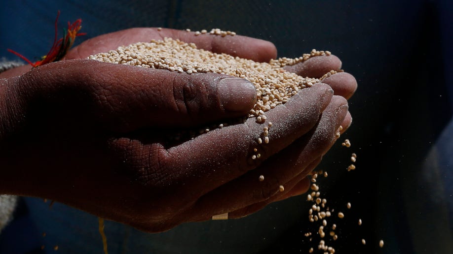 APTOPIX Bolivia Quinoa War