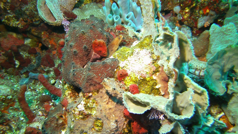 6e24fe48-Travel-Trip-Caribbean-Saba