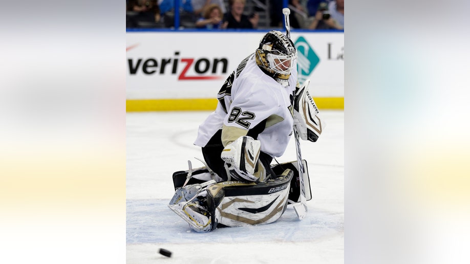 f67a7433-Penguins Lightning Hockey