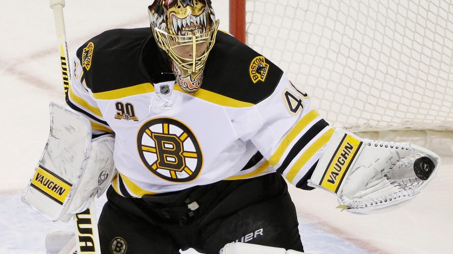 Bruins Sharks Hockey