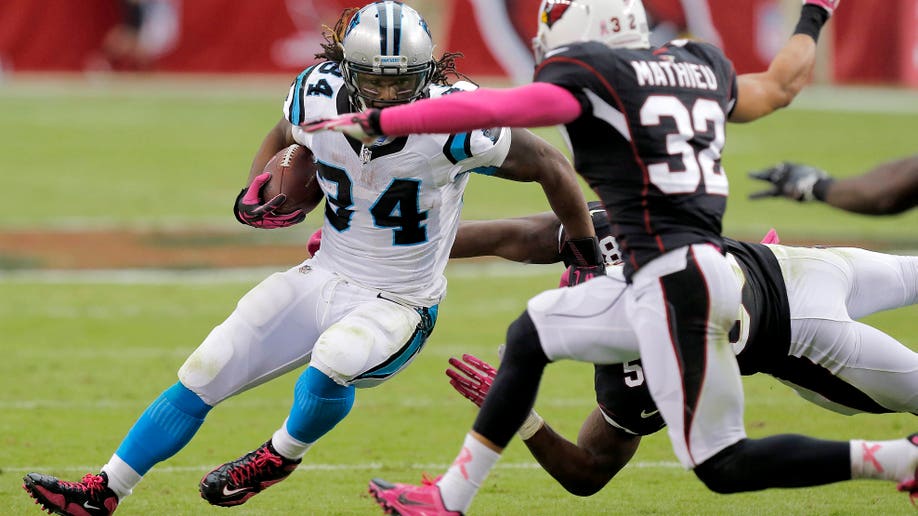 be5c5e79-Panthers Cardinals Football